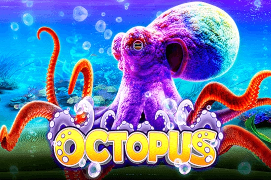 08975 octopus